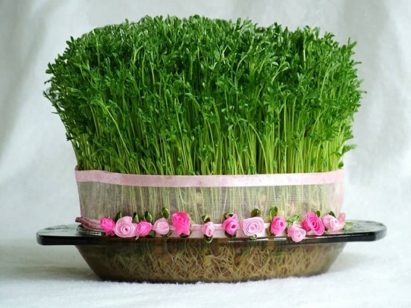 عکس سبزه